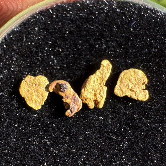 California Gold Nuggets in Display Case - 0.15 grams - Picture 1 of 3